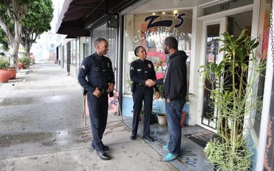 Local Business Safety & Ordinance Enforcement Survey