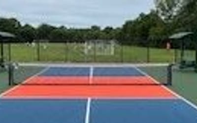 Let's have a conversation about pickleball!