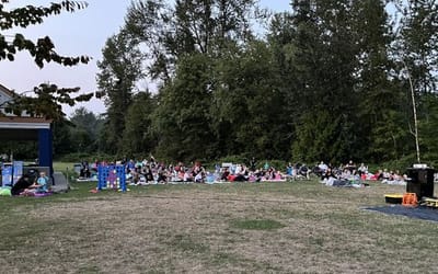 Help Us Make Movies in the Park Even Better! 