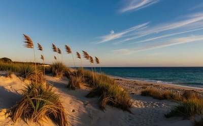 Nantucket Retreat and Relocation Program  Virtual Public Workshop Survey  
