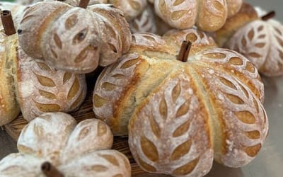 Share Your Thoughts on Sugar Land's Night Market Experience