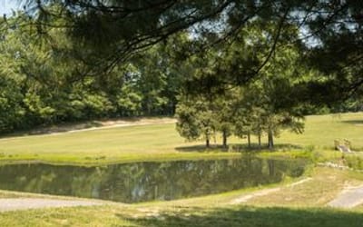 Help Shape the Future of White Plains Regional Park!