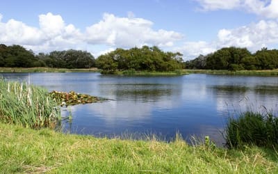 Image of Ardeer Quarry Local Nature Reserve