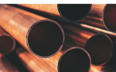 Lead Service Line Inventory (LSLI) Survey