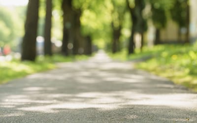 Sidewalk Improvement: Livingston Road