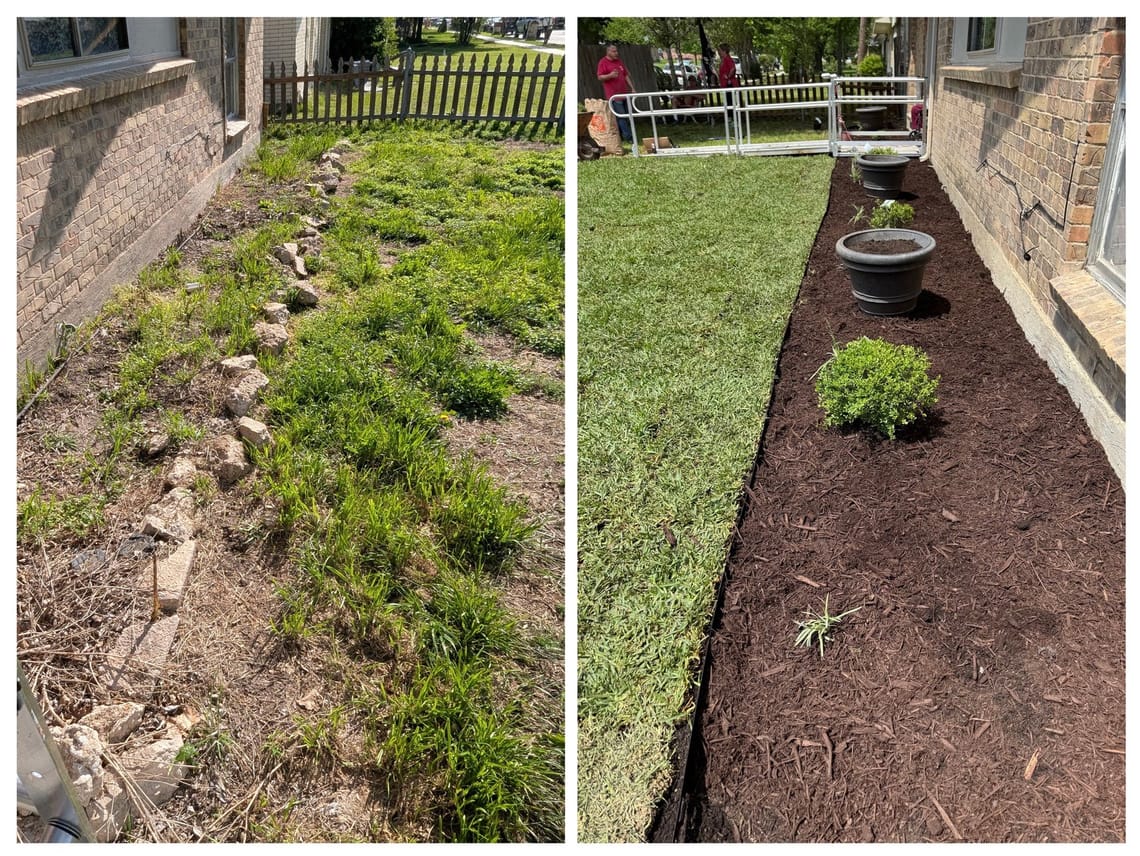 A side-by-side comparison of the yard before and after the work. Before, the grass was sparse. After, new sod was laid, and a designated flowerbed was created with new shrubs and trimming.