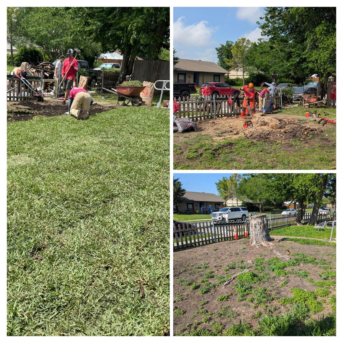 A collage of three photos showing the progression of work. The final photo shows a front yard with all new sod.