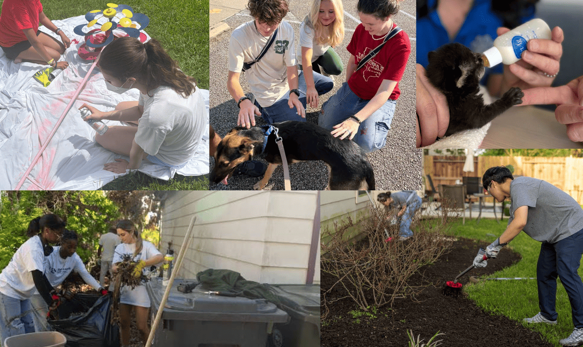 community members performing acts of service such as through art, animal care, and landscaping