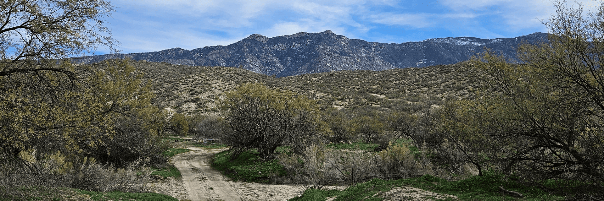 Landscape of mountains along the skylines with fluffy clouds and desert vegetation