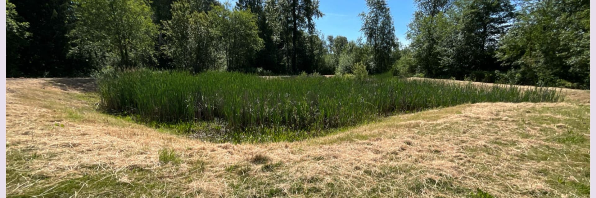 Private Stormwater Facility Page