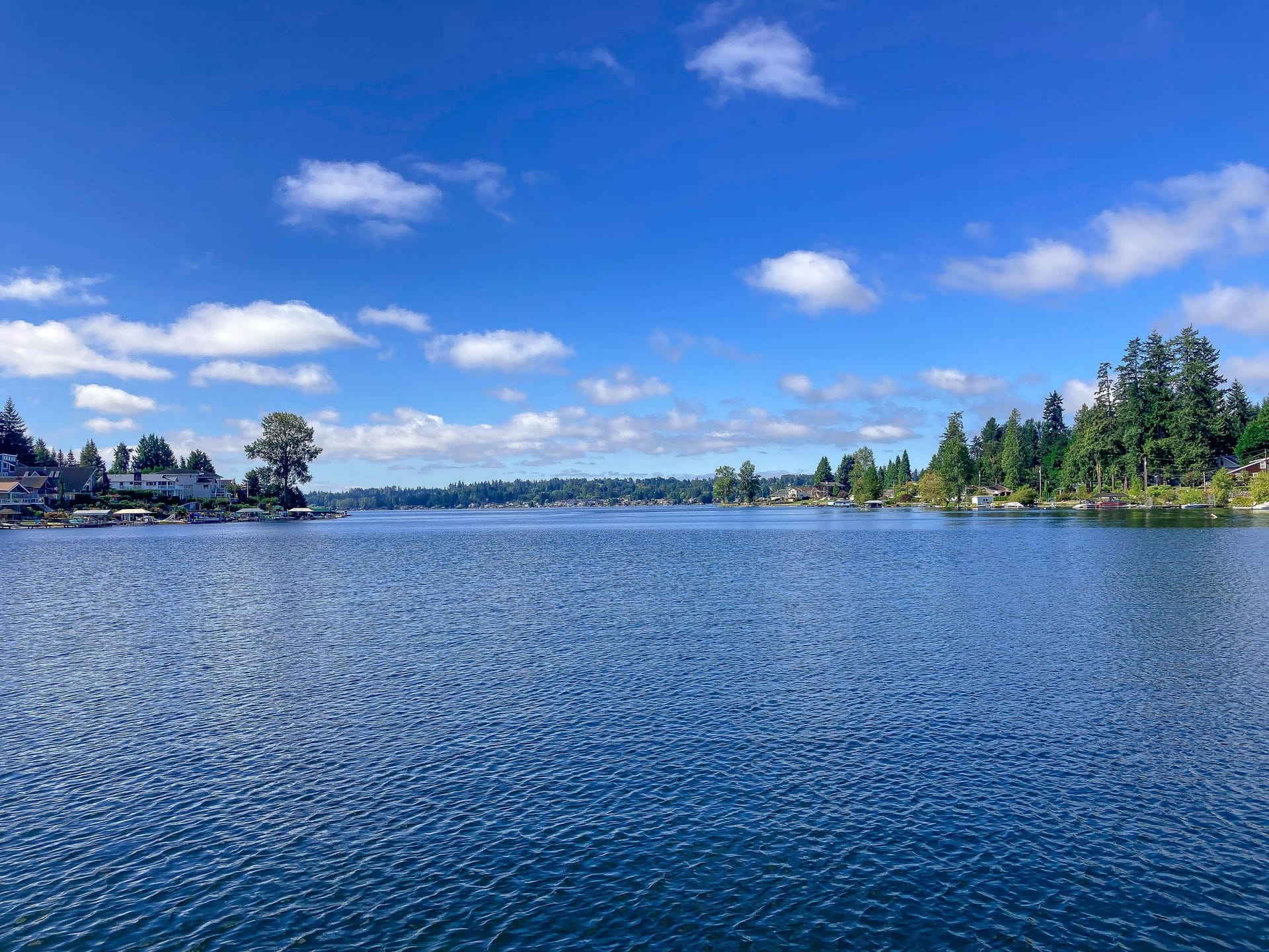 Welcome to our Community 