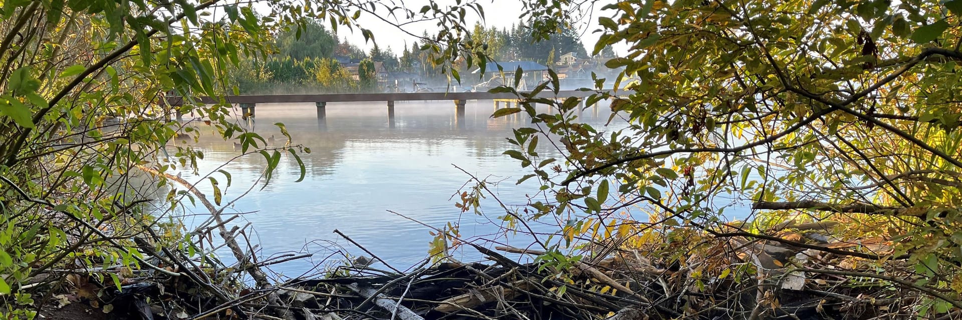 Water Quality Education