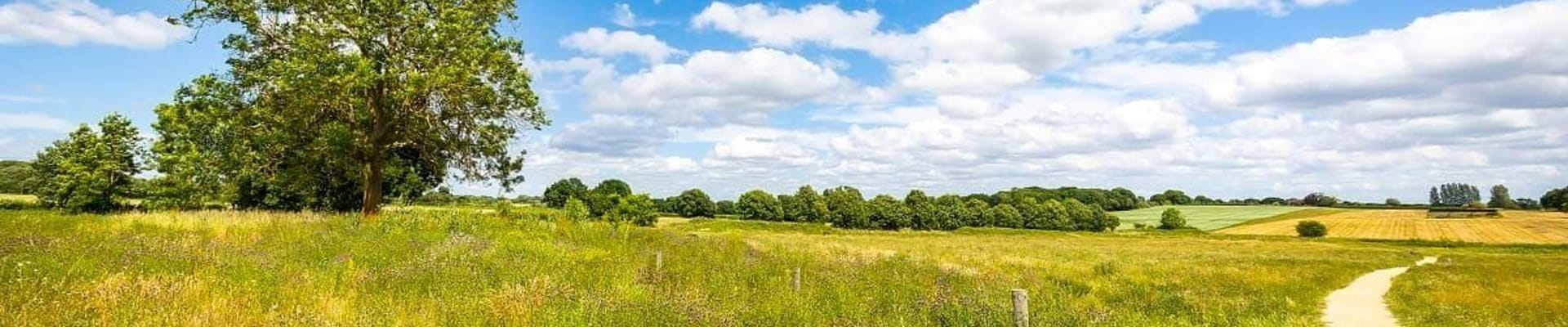Bracknell Forest country side footpath through field