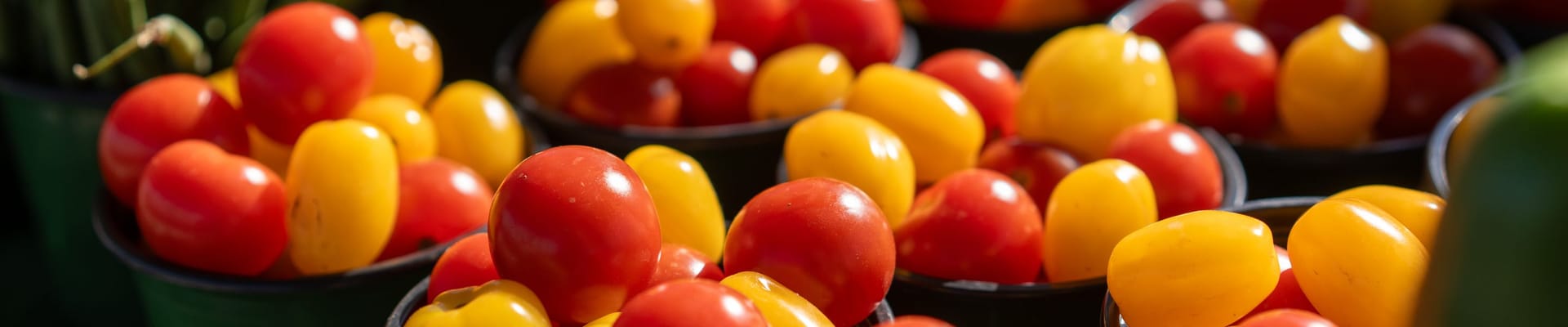image of bundles of yellow and red tomatoes