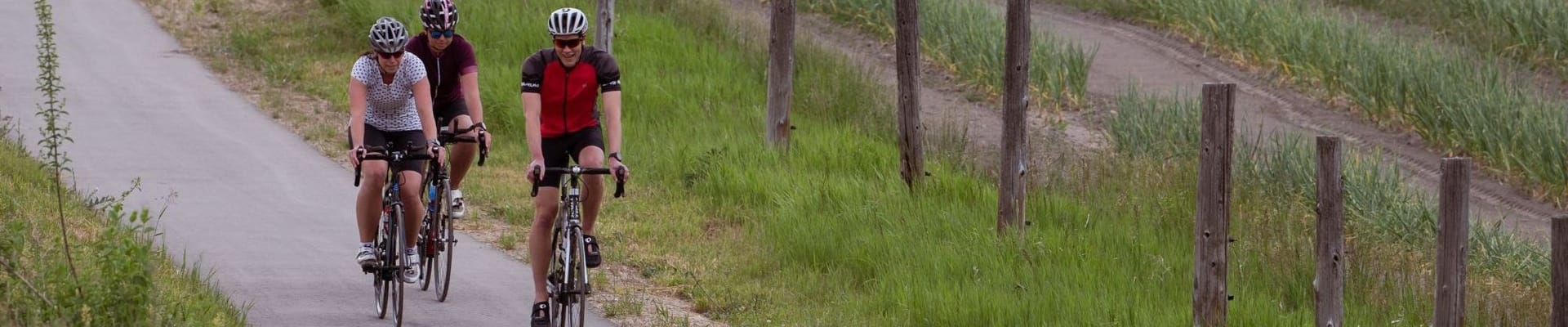 three cyclists on a path