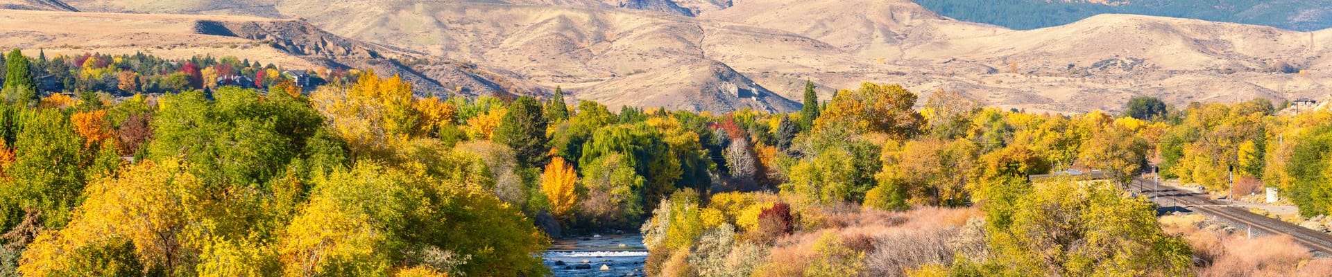 Landscape view with trees, mountains, and the Truckee River