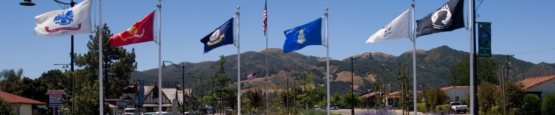 Photo of Avenue of Flags