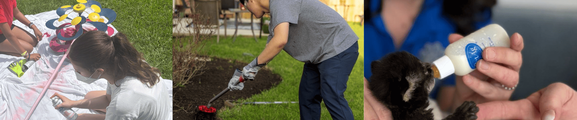 community members performing acts of service: art, animals, landscaping