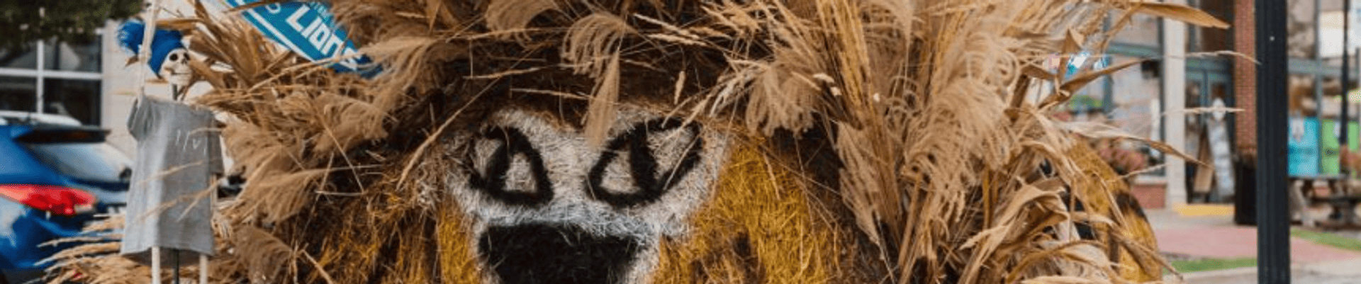 hay bale decorated as a lion