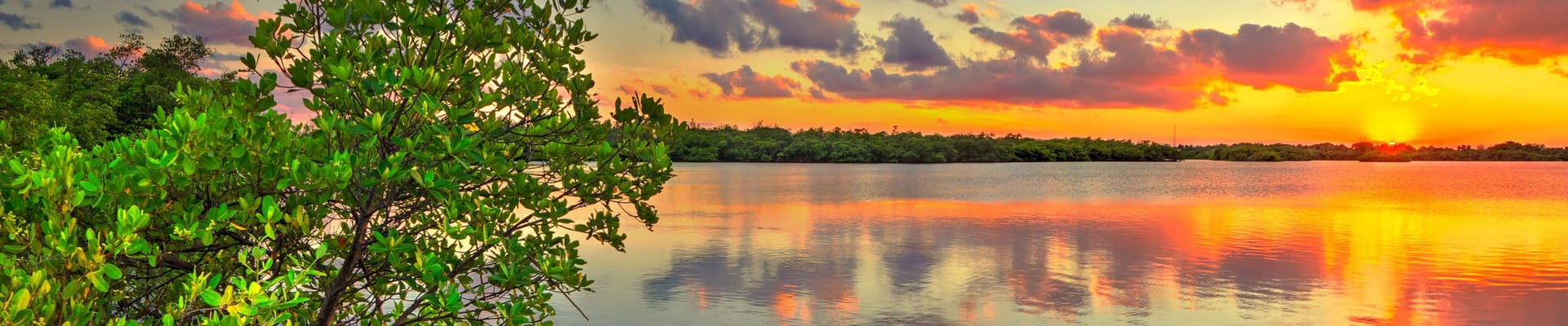 Photo of MacArthur Beach State Park at sunset.