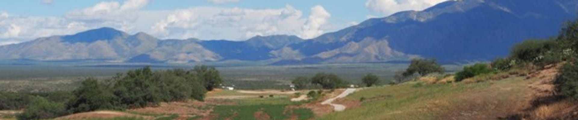 walking paths through a green, grassy, desert area lead off into the distance where mountains become visible.
