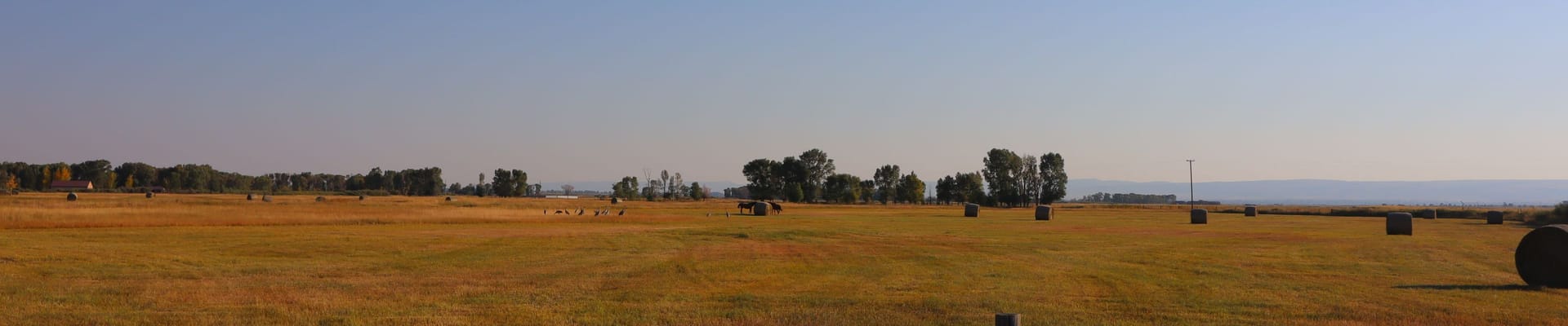 Open rural landscape in Albany County with grassy fields, scattered trees, and distant hills under a clear sky.
