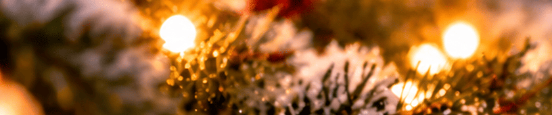 Softly blurred holiday background featuring festive Christmas lights, snow-covered evergreen branches, and red holly berries against a blue winter evening sky.
