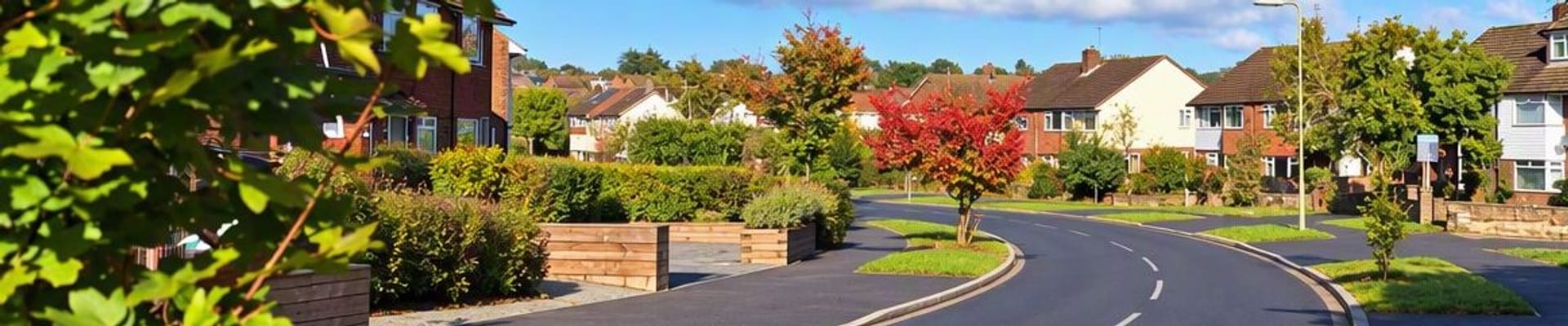 Consultations on the Removal of Highway Street Trees