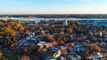 Gun Violence Intervention