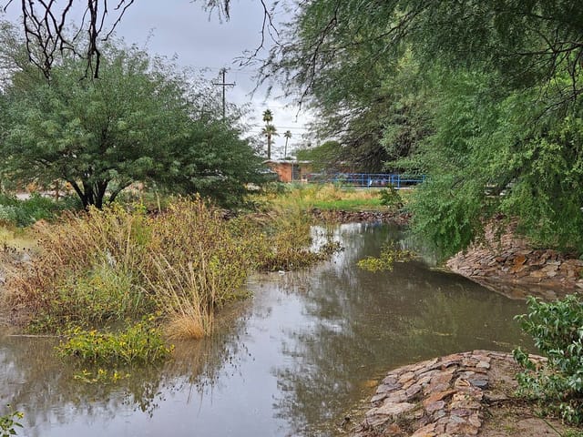 A basin of a stormwater park is filled with water. Some riprap and Sonoran Desert plants are visible in the basin. 