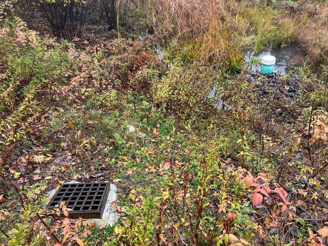 Existing Palmer Ave Detention Basin