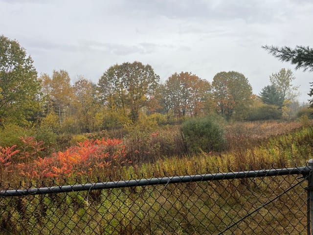 Existing Palmer Ave Detention Basin