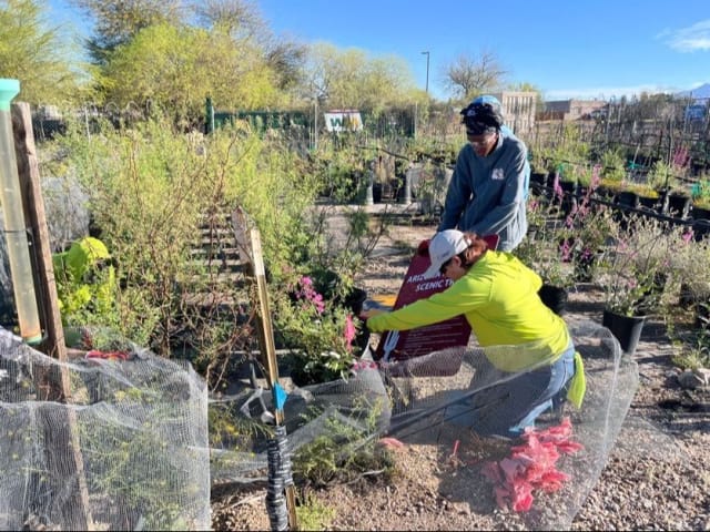 Students work on nursery plants in an outdoor plant nursery. 