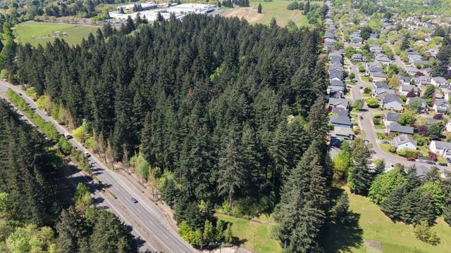 Aerial view of the park site showing 192nd Avenue, a large block of trees where the park will be, and housing to the right of the forest.