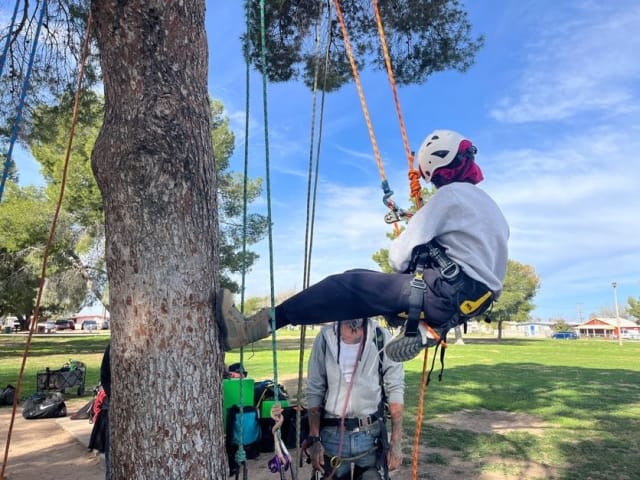 Student wearing a hard hat and secured into a harness climbs down from a tree.