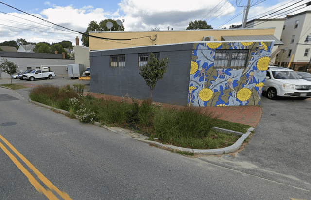 Rain Garden