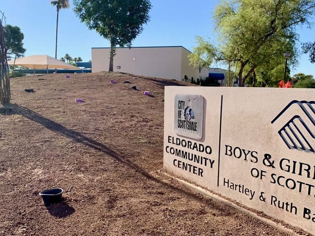 New desert landscaping and irrigation improvements near Eldorado Community Center, with freshly graded soil, young plantings and existing trees.
