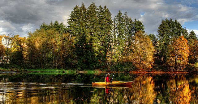 A kayaker paddles across still water with trees in the background.