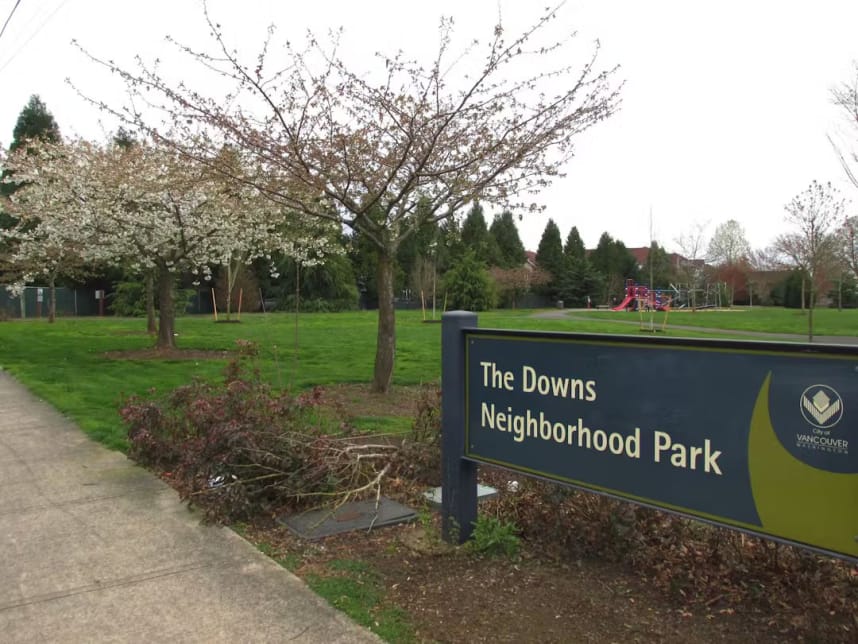 image of park