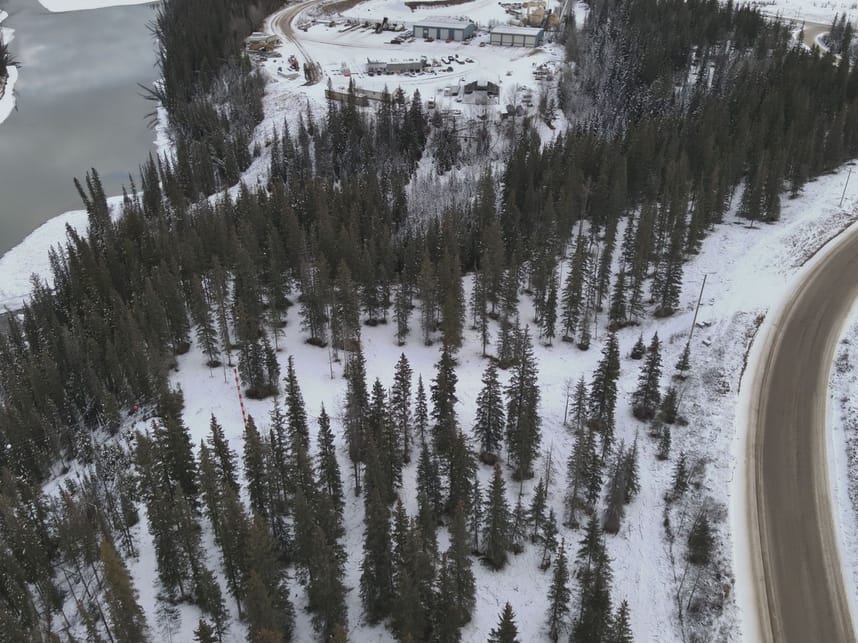 FireSmart work on Willow Creek Road