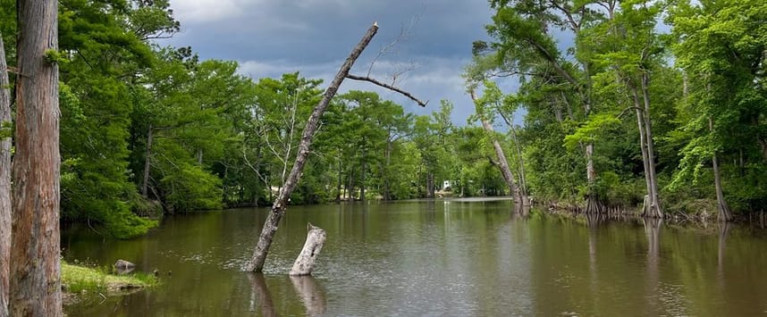 picture of park