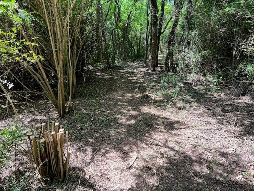 Photo of trail area