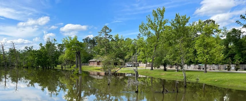 picture of park