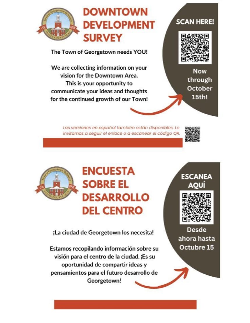 survey flyer with english and spanish