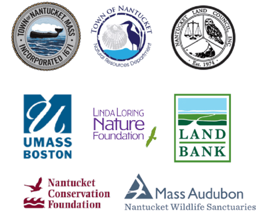 Town seal and different non-profit organizations seals