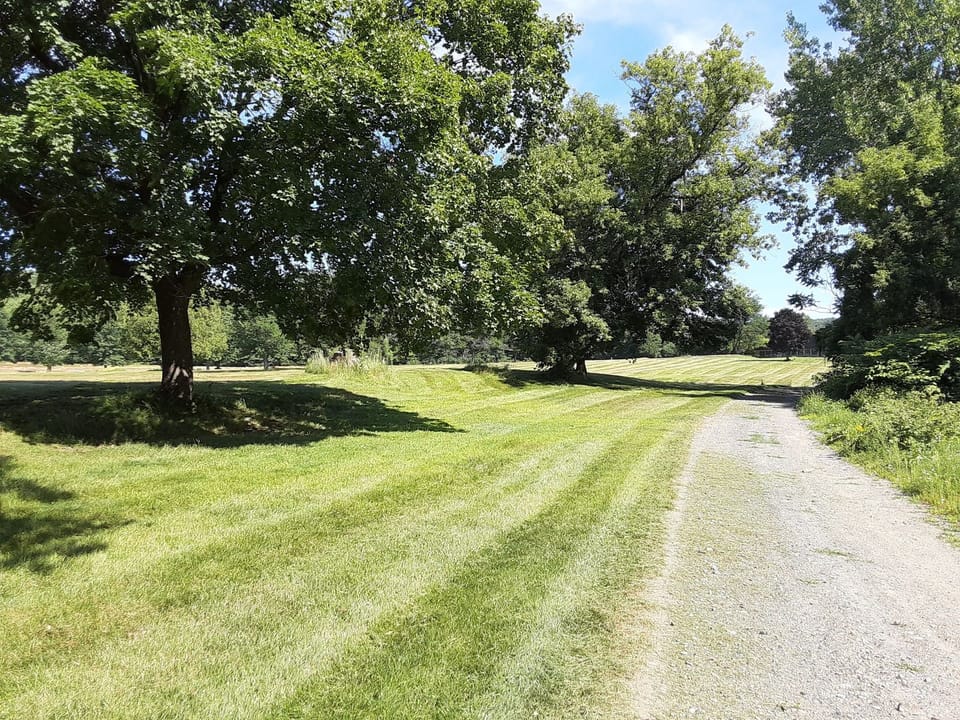 Trail through Country Club Road site with grass and trees