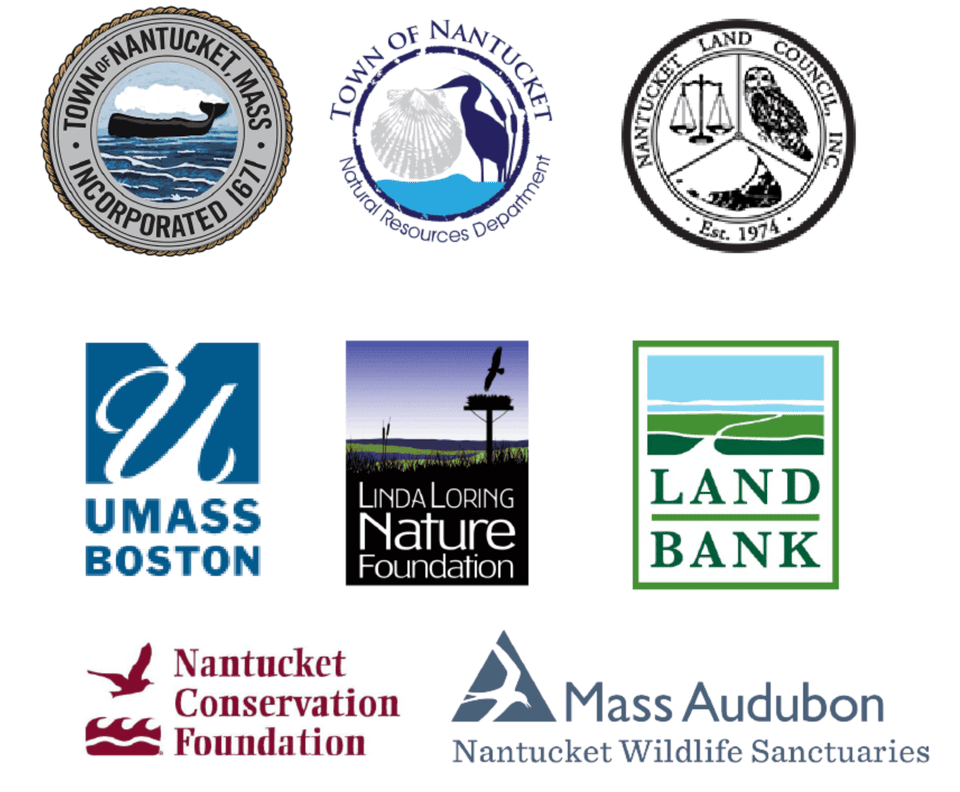 Town seal and different non-profit organizations seals