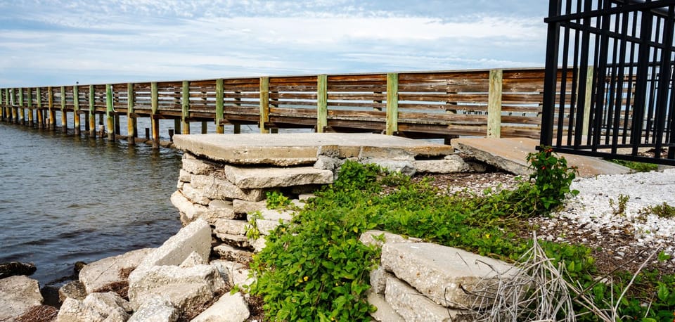Weaver Park Living Shoreline