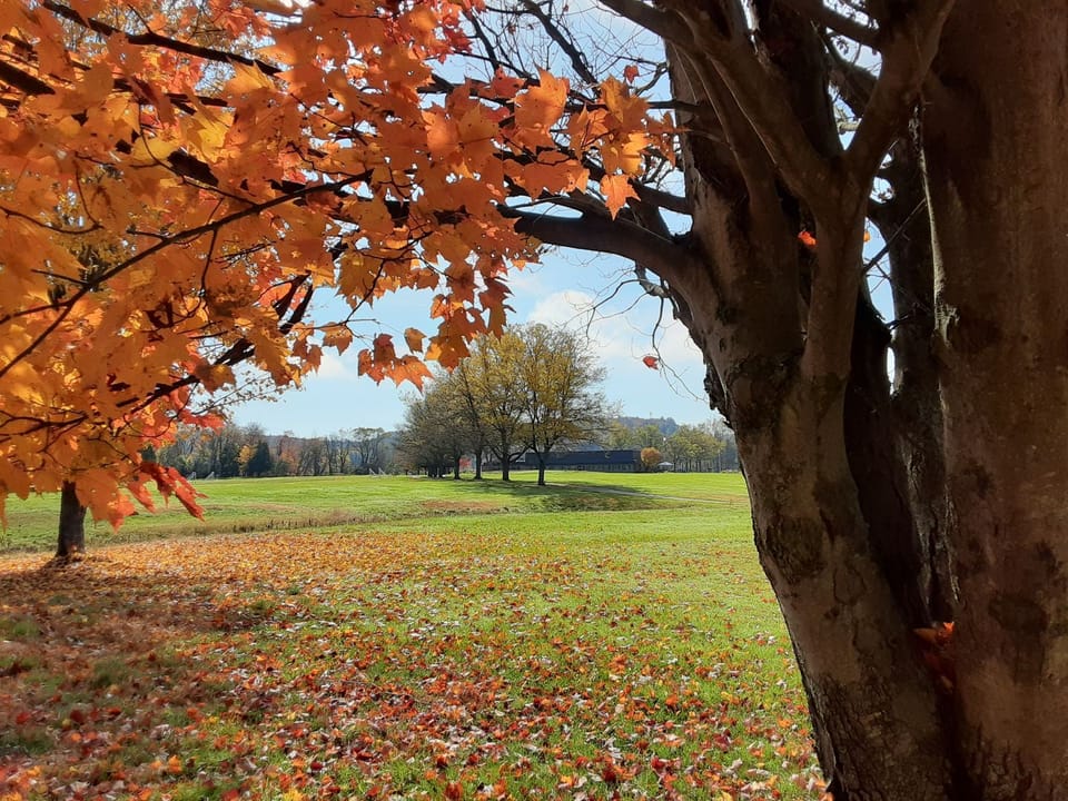 The property at 203 Country Club Road has a bright future ahead. It's mission is to provide affordable housing and recreation opportunities for generations to come!