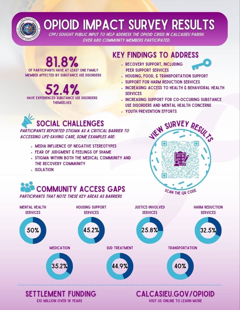 Opioid Survey Results